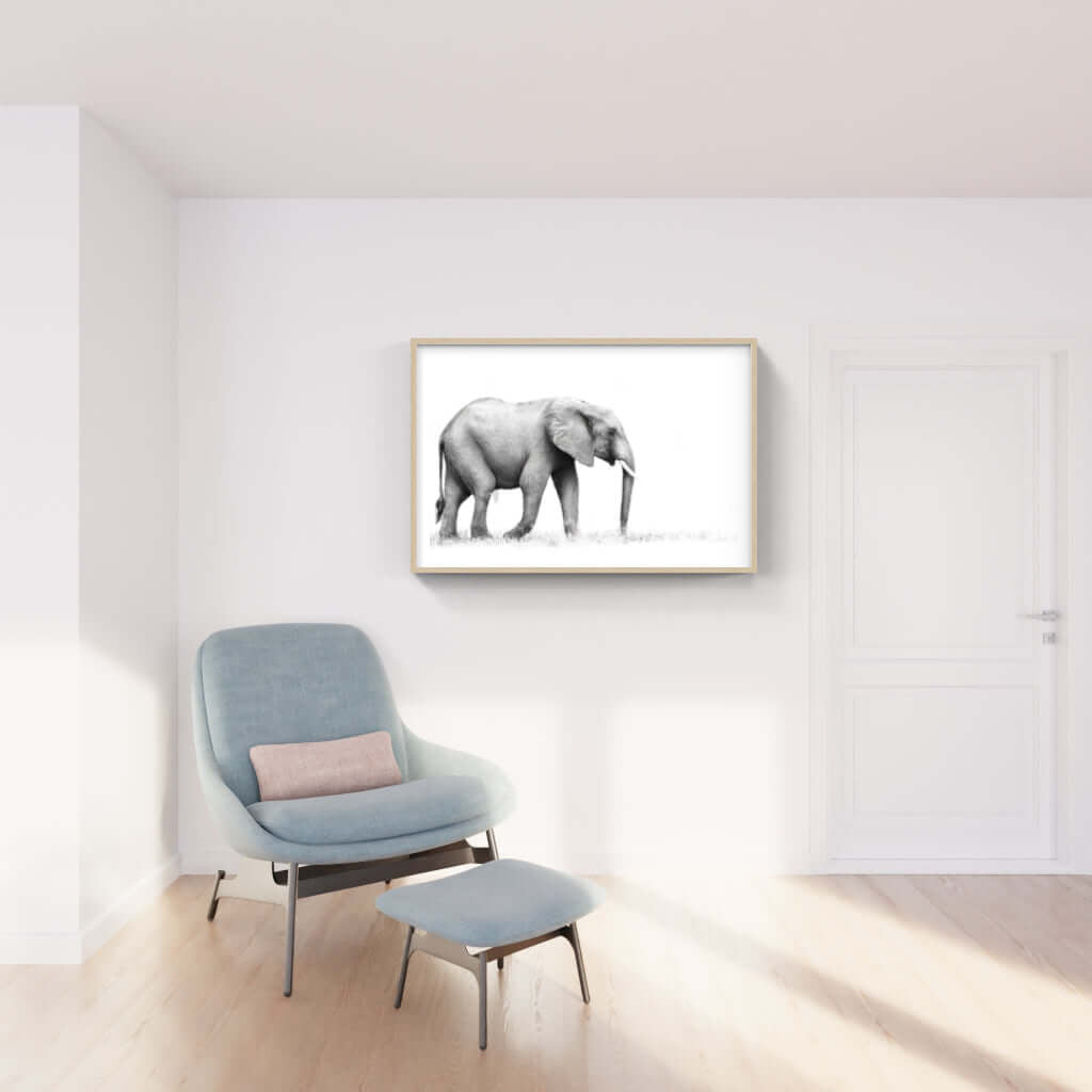 Framed Elephant Print 1 - Paramount Mirrors and PrintsFramed Print