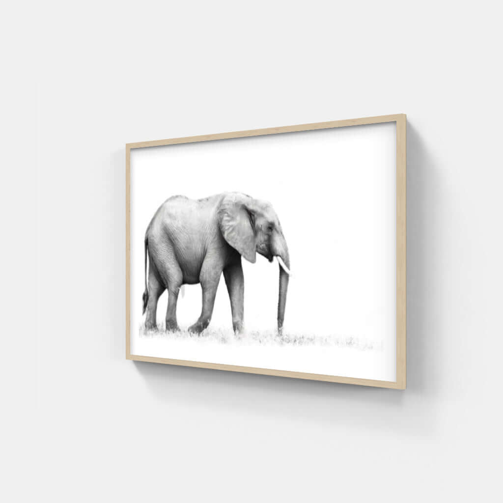 Framed Elephant Print 1 - Paramount Mirrors and PrintsFramed Print
