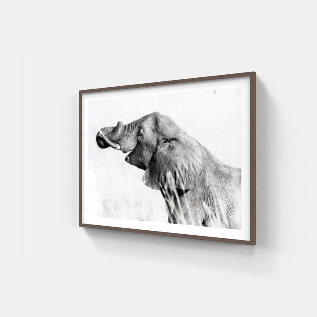 Framed Elephant Print 2 - Paramount Mirrors and PrintsFramed Print