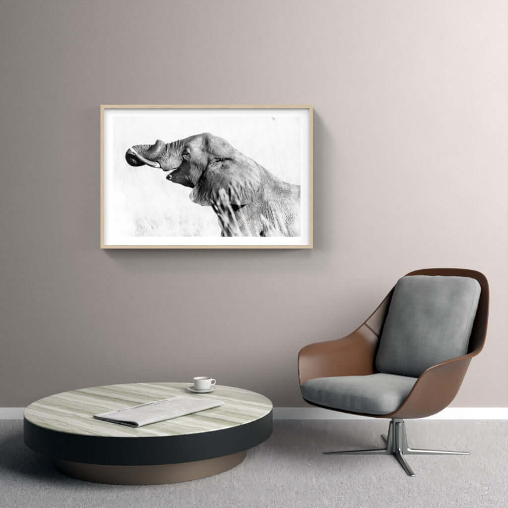 Framed Elephant Print 2 - Paramount Mirrors and PrintsFramed Print