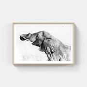 Framed Elephant Print 2 - Paramount Mirrors and PrintsFramed Print