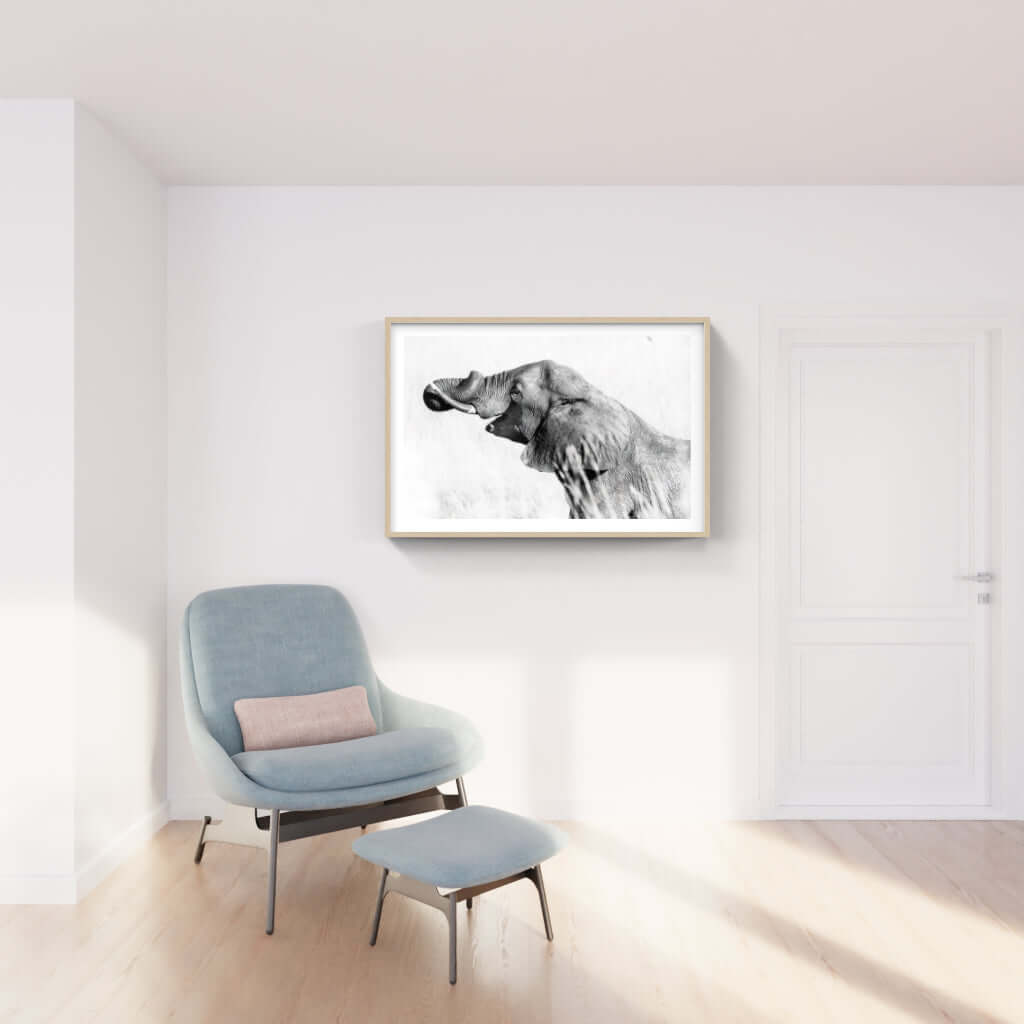 Framed Elephant Print 2 - Paramount Mirrors and PrintsFramed Print