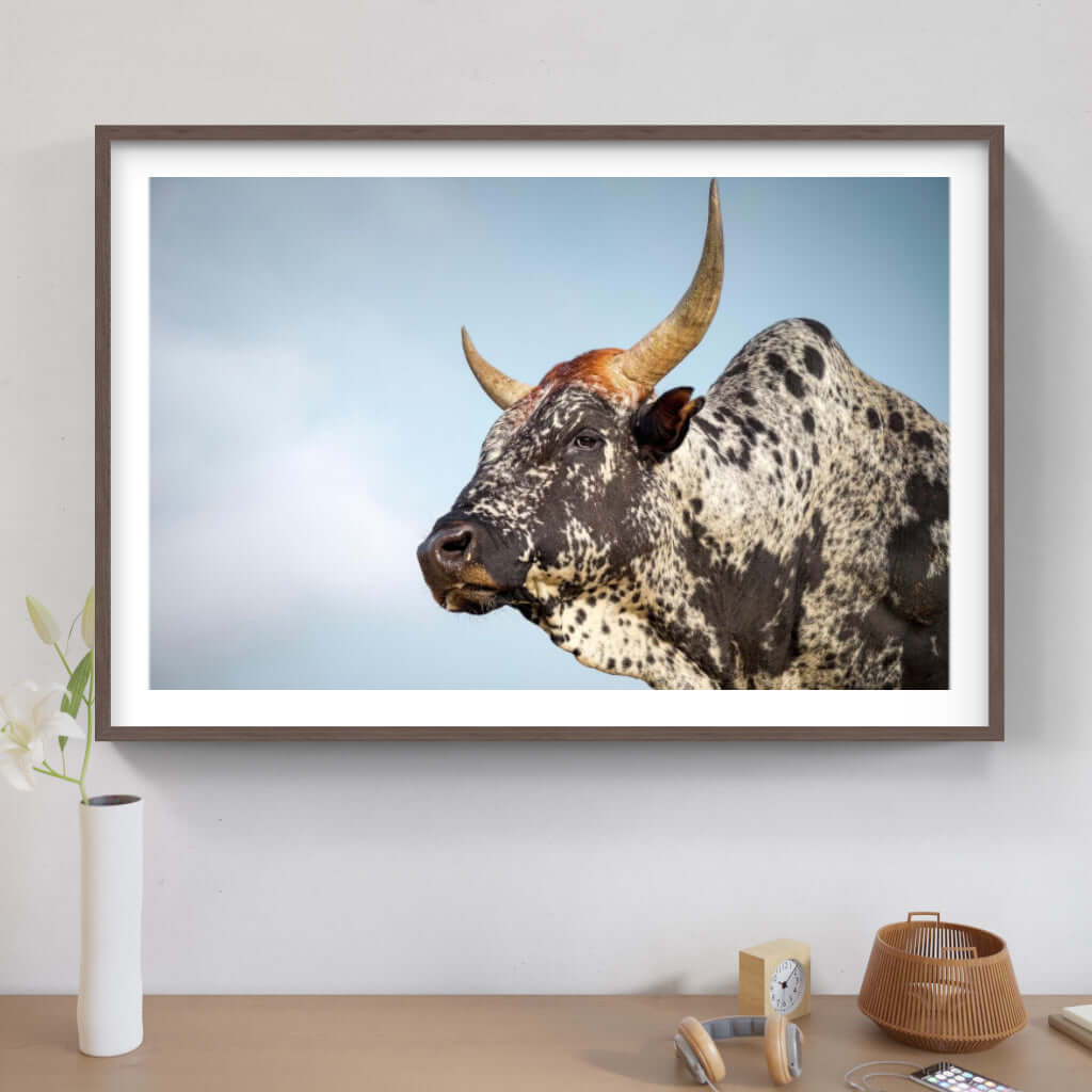 Framed Nguni Cattle Print No 1 - Paramount Mirrors and PrintsPMM-AA-NGU-1Custom ProductFramed Print