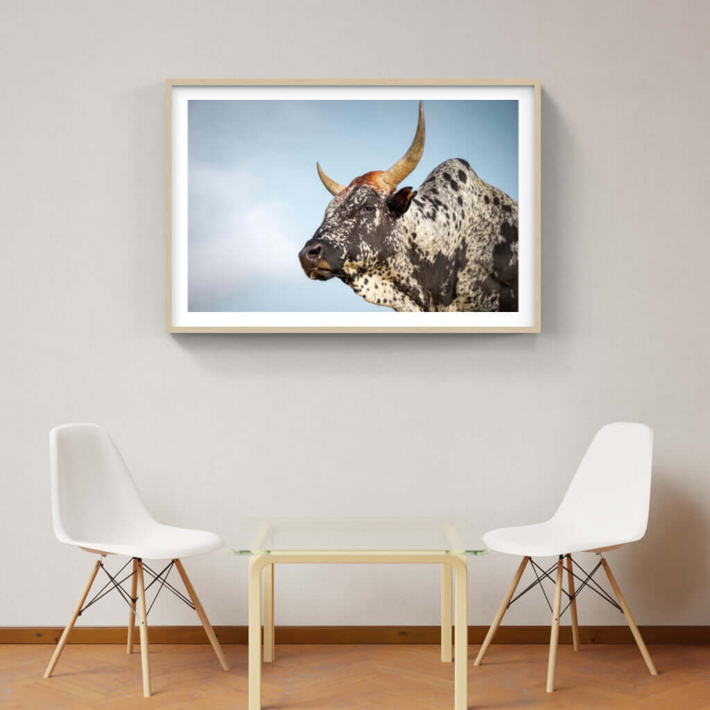 Framed Nguni Cattle Print No 1 - Paramount Mirrors and PrintsPMM-AA-NGU-1Custom ProductFramed Print