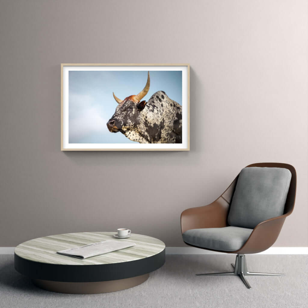 Framed Nguni Cattle Print No 1 - Paramount Mirrors and PrintsPMM-AA-NGU-1Custom ProductFramed Print