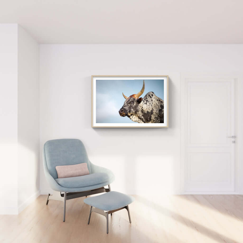 Framed Nguni Cattle Print No 1 - Paramount Mirrors and PrintsPMM-AA-NGU-1Custom ProductFramed Print