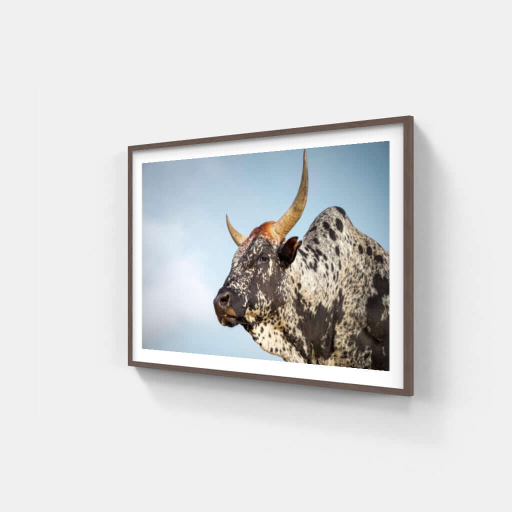 Framed Nguni Cattle Print No 1 - Paramount Mirrors and PrintsPMM-AA-NGU-1Custom ProductFramed Print