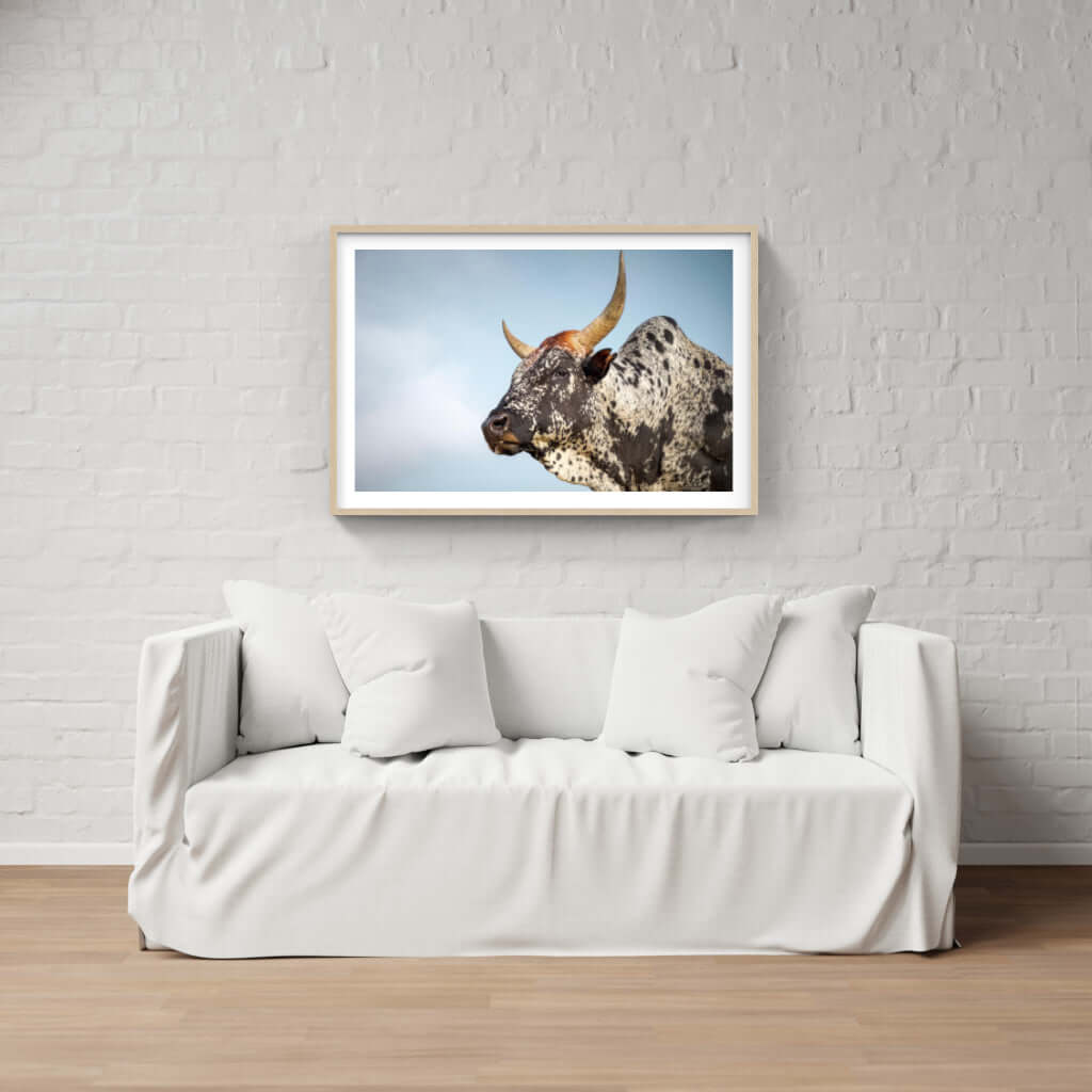 Framed Nguni Cattle Print No 1 - Paramount Mirrors and PrintsPMM-AA-NGU-1Custom ProductFramed Print