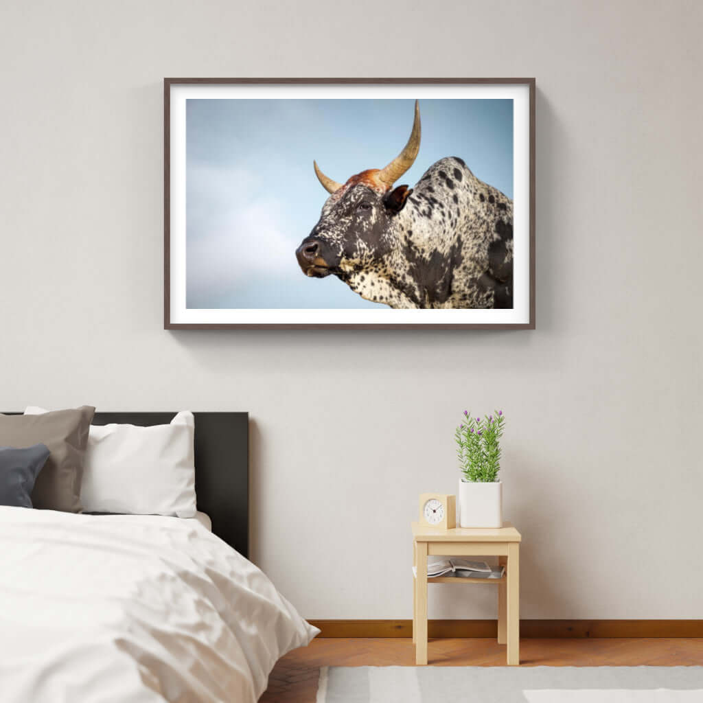 Framed Nguni Cattle Print No 1 - Paramount Mirrors and PrintsPMM-AA-NGU-1Custom ProductFramed Print