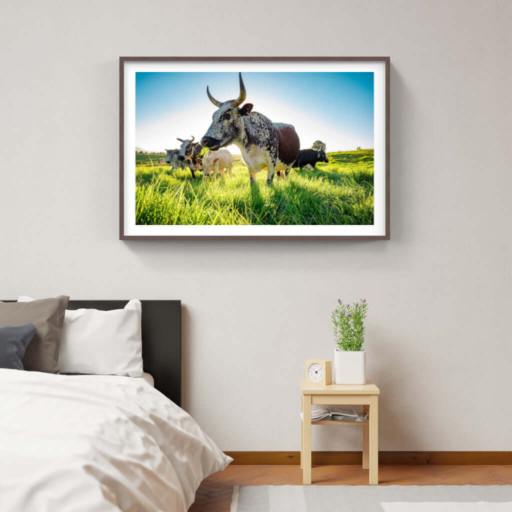 Framed Nguni Print No 2 - Paramount Mirrors and PrintsFramed Print