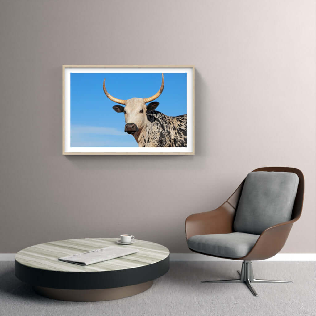 Framed Nguni Print No 4 - Paramount Mirrors and PrintsFramed Print