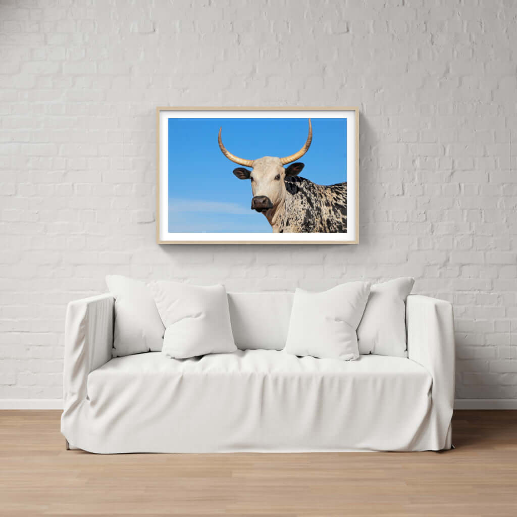 Framed Nguni Print No 4 - Paramount Mirrors and PrintsFramed Print