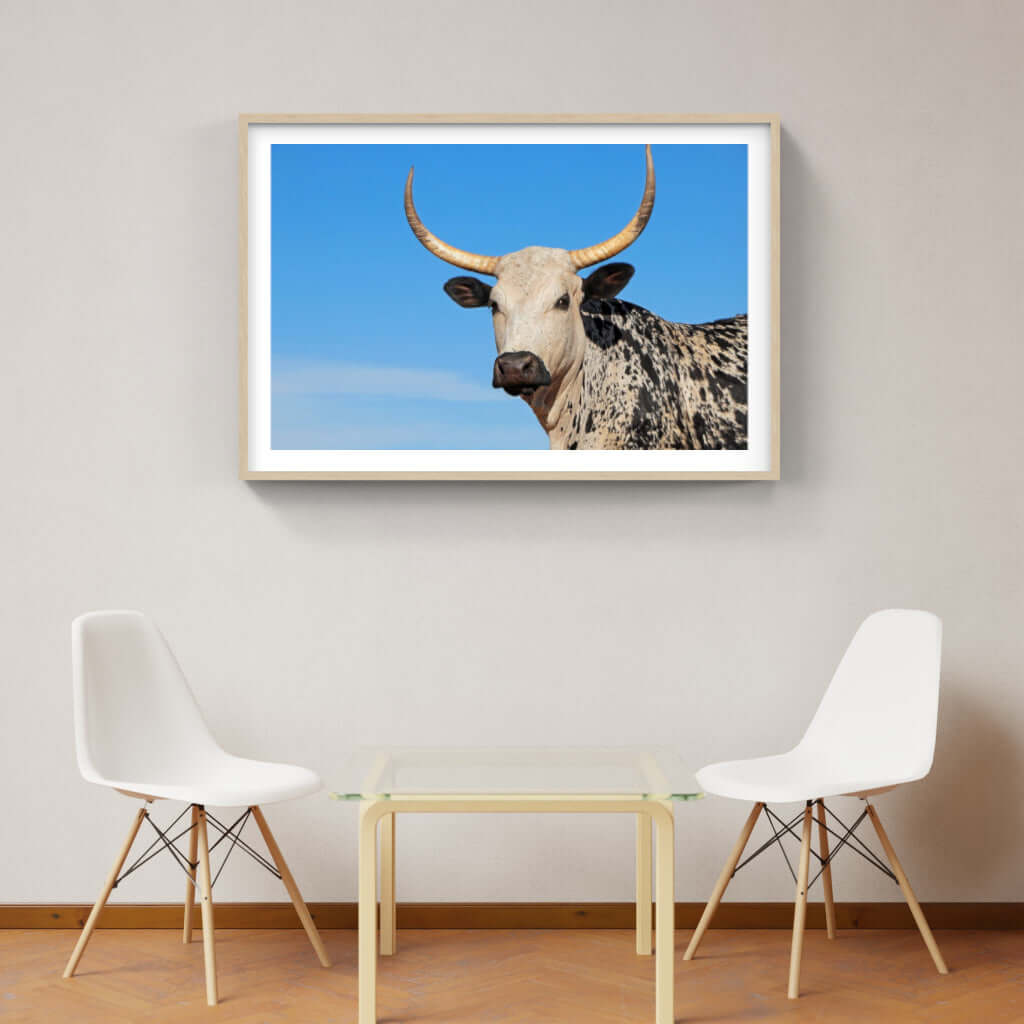 Framed Nguni Print No 4 - Paramount Mirrors and PrintsFramed Print