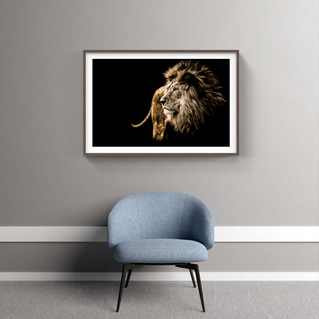 Framed Wildlife Print No 3 - Paramount Mirrors and PrintsPMM-AA-LIONnoneFramed Print