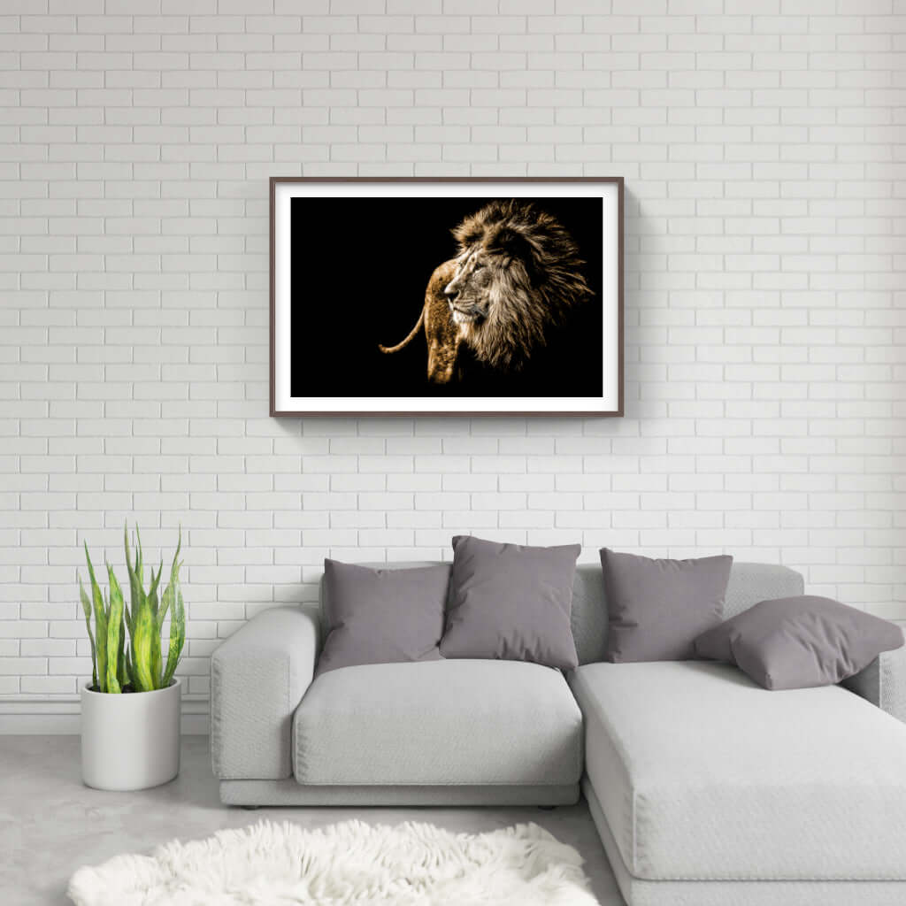 Framed Wildlife Print No 3 - Paramount Mirrors and PrintsPMM-AA-LIONnoneFramed Print