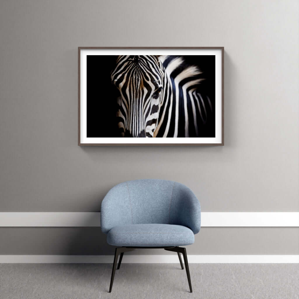 Framed Wildlife Print No 4 - Paramount Mirrors and PrintsPMM-AA-ZEB-1noneFramed Print