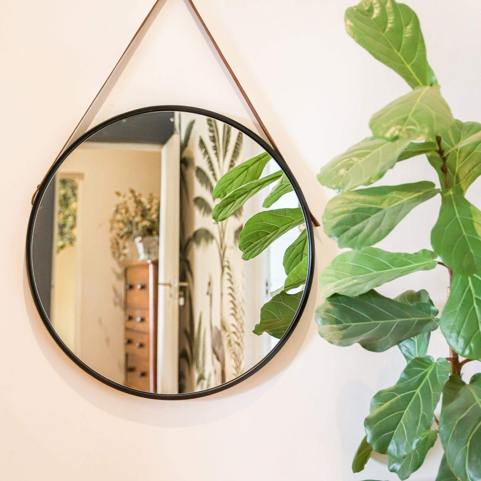 Stellar Mirror Black - Paramount Mirrors and PrintsPMM-STELL-BLA0737186906030Decorative Mirrors
