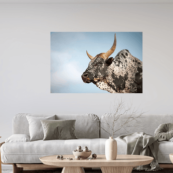 Nguni Cattle Canvas No 1 - Paramount Mirrors and Prints