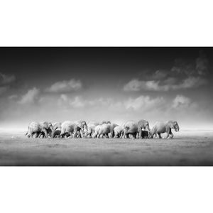 Elephant herd printed canvas